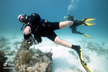 a person swimming in the water